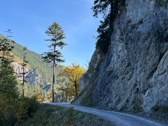 Forstweg Eng - Plumsjochhütte