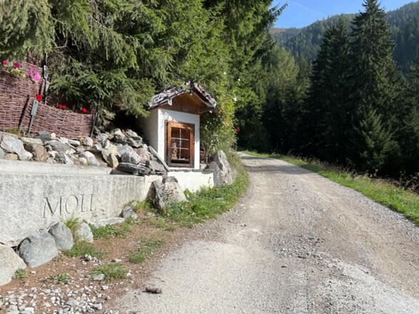 Oberer Höhenweg Alpbach - Inneralpbach, 700 Meter Forstweg, Rest asphaltiert