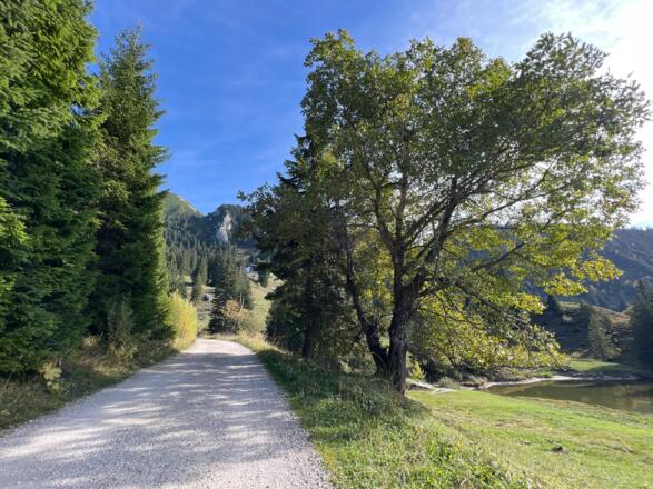 Forstweg Sachrang - Priener Hütte