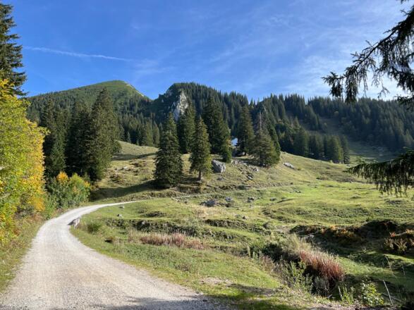 Forstweg Sachrang - Priener Hütte