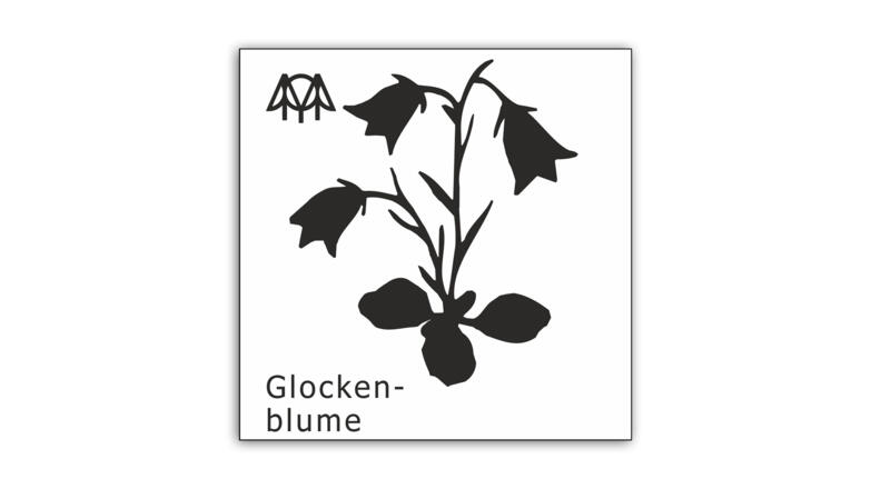 Glockenblume