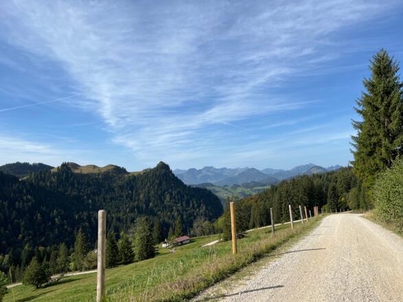 Forstweg Sachrang - Priener Hütte, unten die Talalm