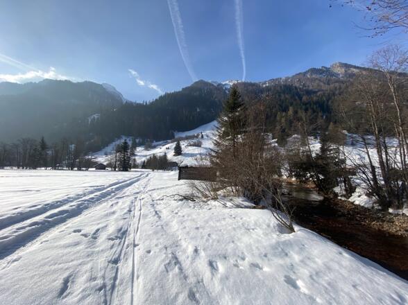 Von den Stadeln im hinteren Valsertal geht es anfangs dem Bach entlang und steuert dabei die im Hintergrund liegende breite Waldschneise an.
