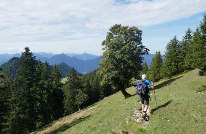 Die Querung zum Buchrain erfolgt auf einem schönen Panoramaweg