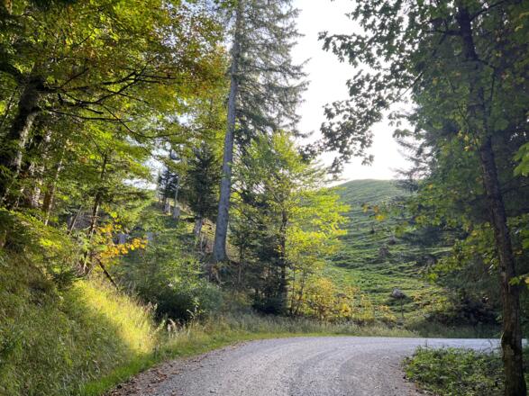 Forstweg Sachrang - Priener Hütte