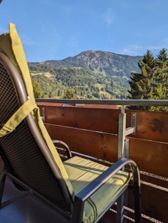 Ausblick auf den Grünten