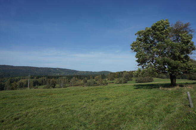 Landschaft vorm Grenzübergang Schwarzach bei Stadlern