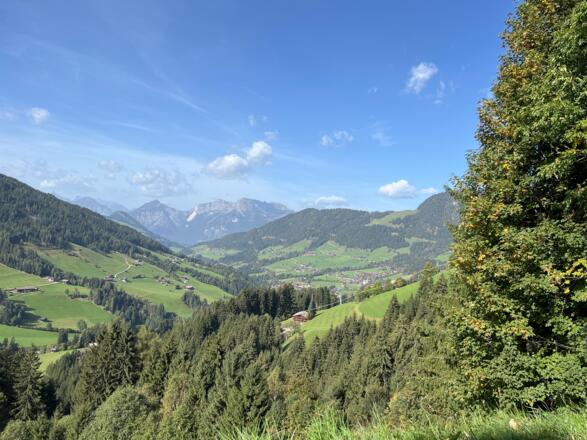 Oberer Höhenweg Alpbach - Inneralpbach