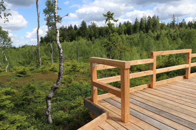 Erlebnisweg Finsterauer Filz