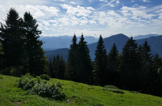 Der Blick nach Süden in Richtung Karwendelgebirge ist durch Bäume teilweise versperrt.