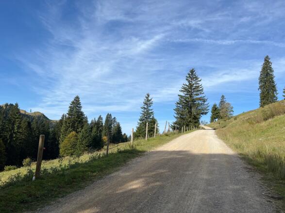 Forstweg Sachrang - Priener Hütte