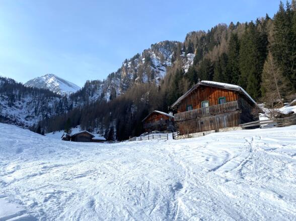 Hat man die Waldschneise und den darauffolgenden Güterweg überwunden, erreicht man die Bloaderalm.