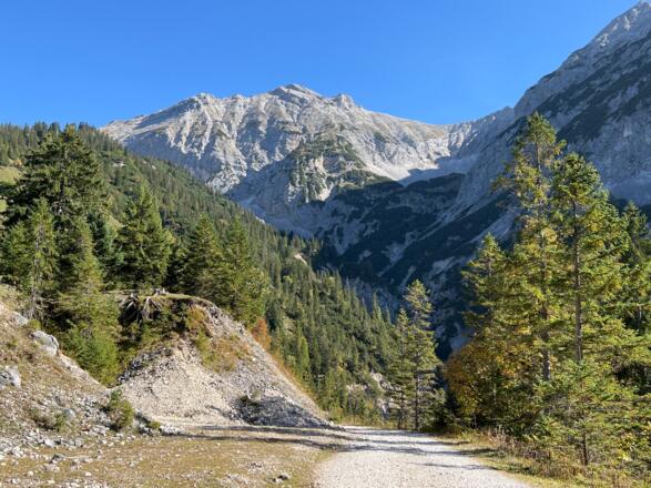Forstweg Eng - Plumsjochhütte