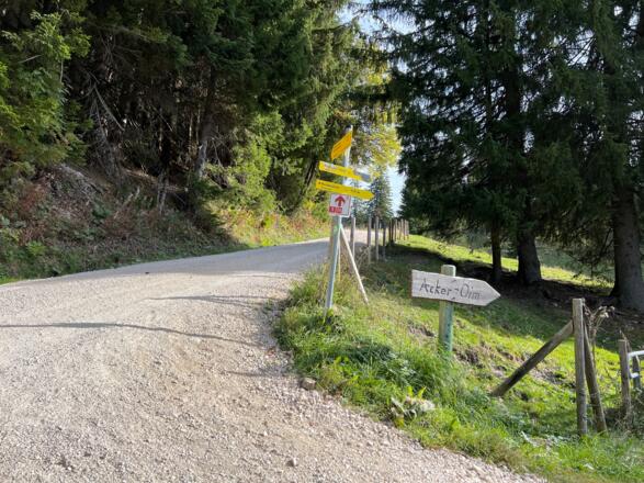 Forstweg Priener Hütte, das Ende der größeren Steigung in Sicht