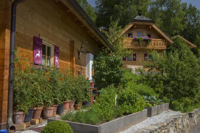 Naturdorf Chalet im Sommer