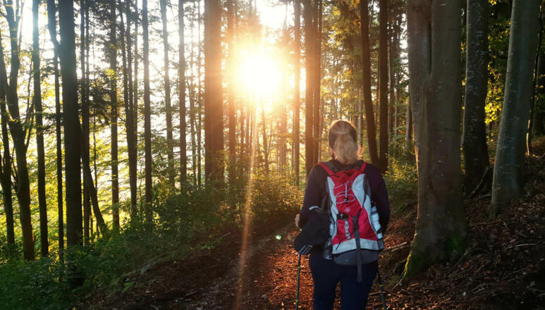 urkraftweg kaltenberg sonnenaufgang