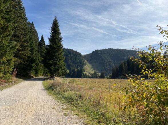 Forstweg Sachrang - Priener Hütte