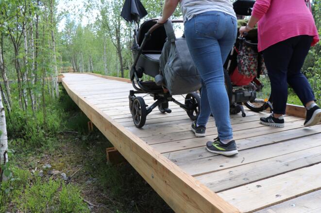Erlebnisweg Finsterauer Filz