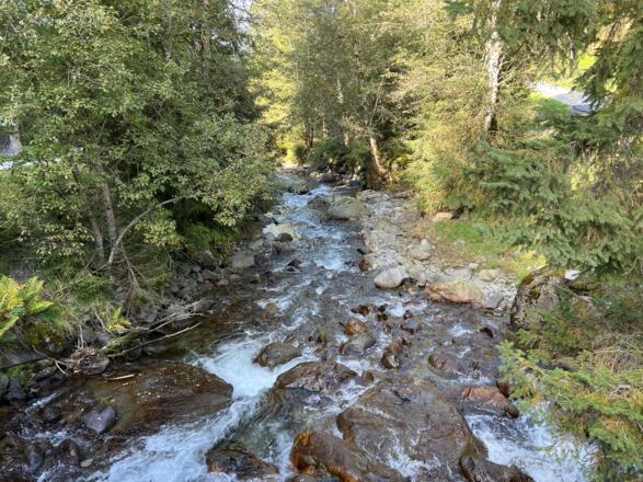 Alpbacher Ache -  Inneralpbach