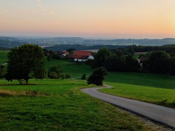 Abendlicher Blick zum Bogenberg über Autsdorf