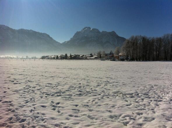 Winterwiese