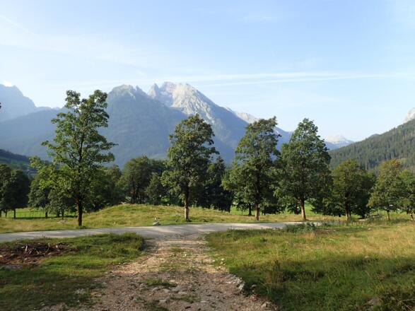 Abzweigung des Forstweges