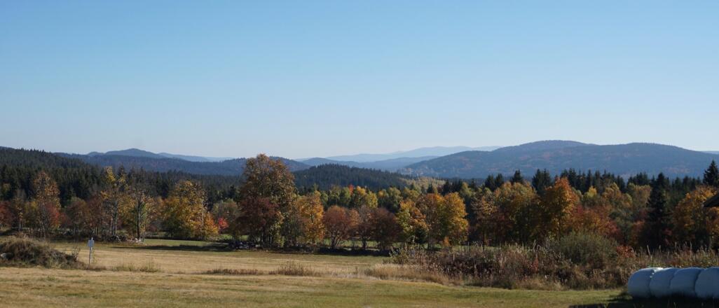 Blick von Finsterau zum Almberg