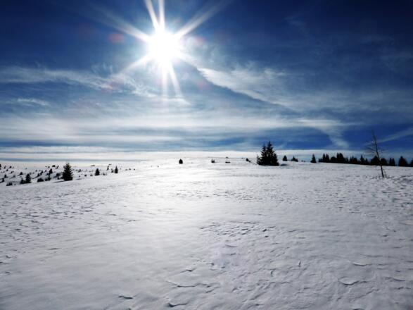Flache Hänge - gut wenn nicht zu viel Neuschnee liegt