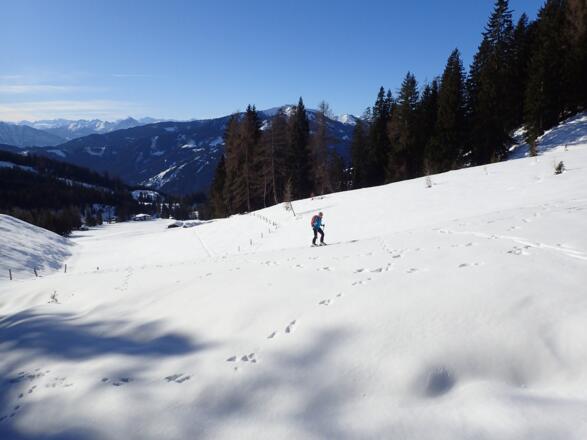 Die flache Wiese neben der Grießfeldpiste