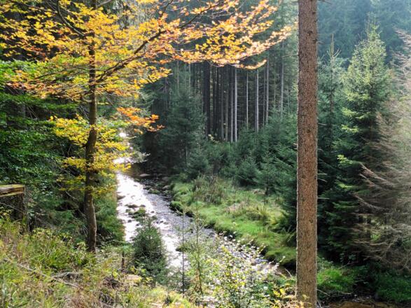 Teufelsbach vor der Hammerklause