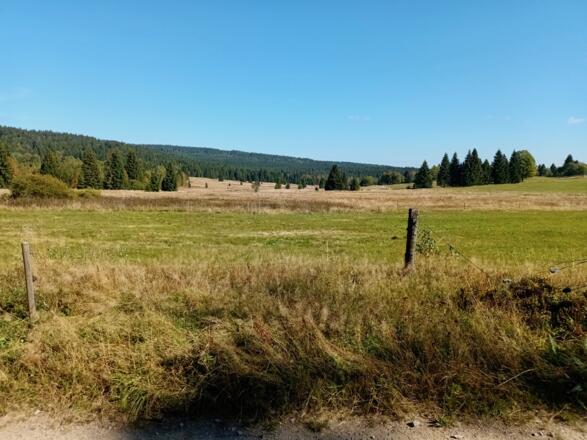Landschaft  am Weg nach Strazny