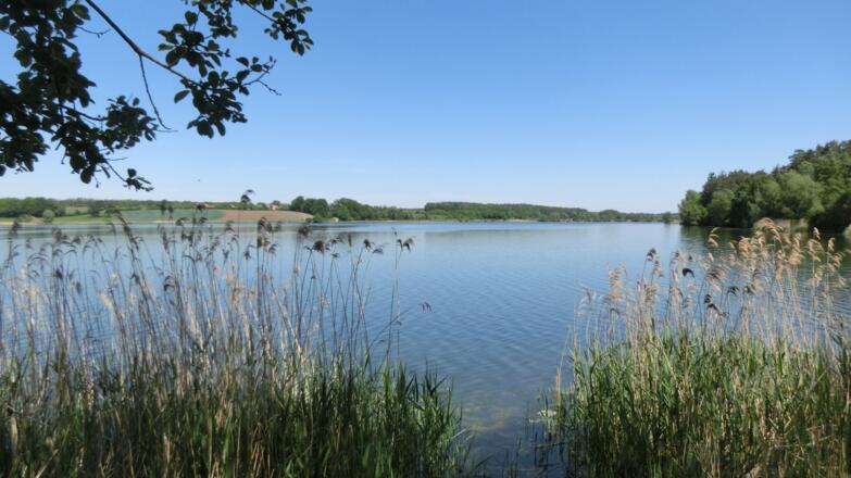 Hasenbrucker Insel Rothsee