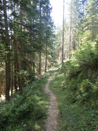 Abstieg am alten Almweg