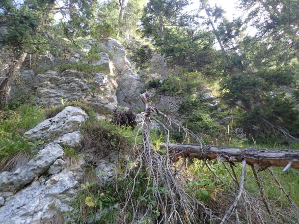 Der Loaterlsteig führt unterhalb vorbei