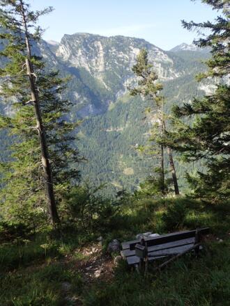 Das Bankerl am Loaterlsteig
