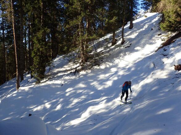 Im kurzen Waldstück