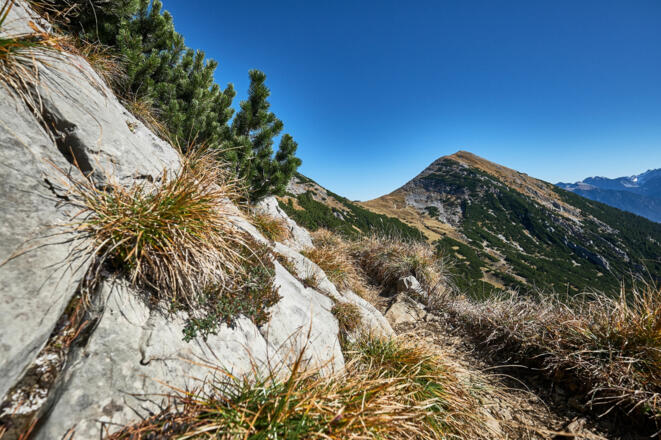 Estergebirge_15102017_082_Brey_Photography.jpg