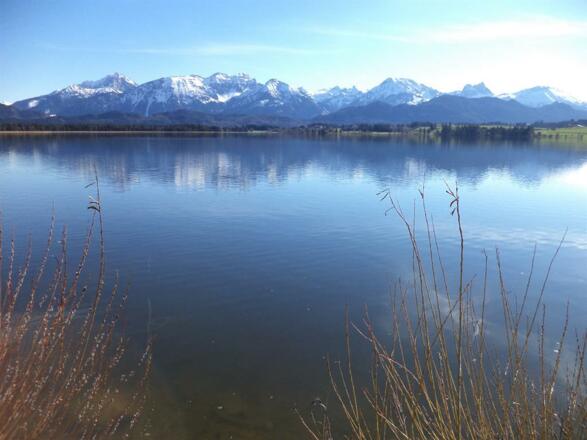 Panorama beim Hopfensee