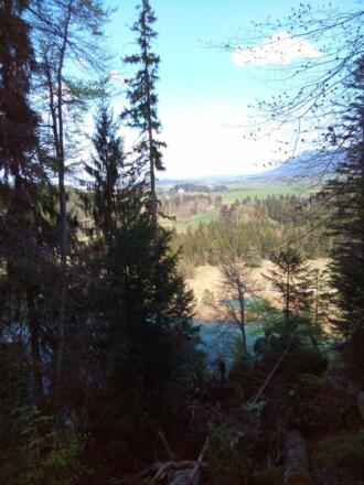 Blick auf Schwansee