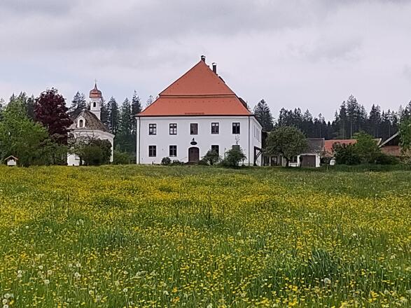 Gut Grasleiten