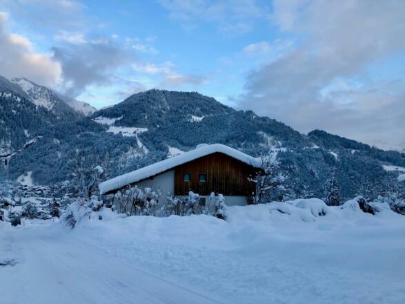 Winter_1