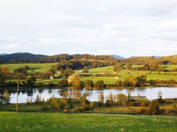Froschhauser See
