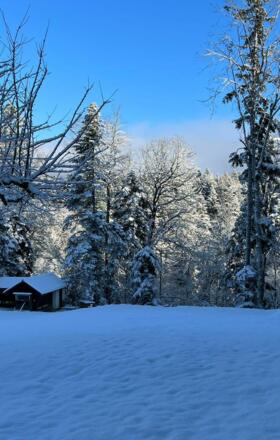 Bienenhütte im Winter