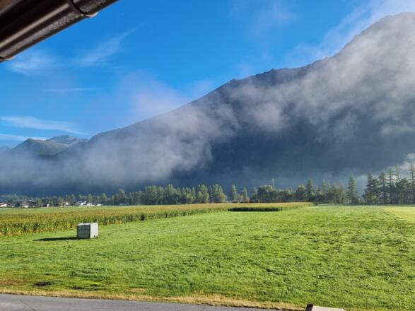 Blick vom Balkon Richtung Lehner-Au