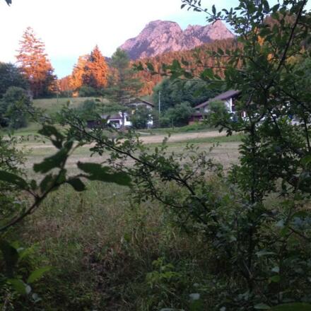 Blick auf Haus mit Säuling im Hintergrund