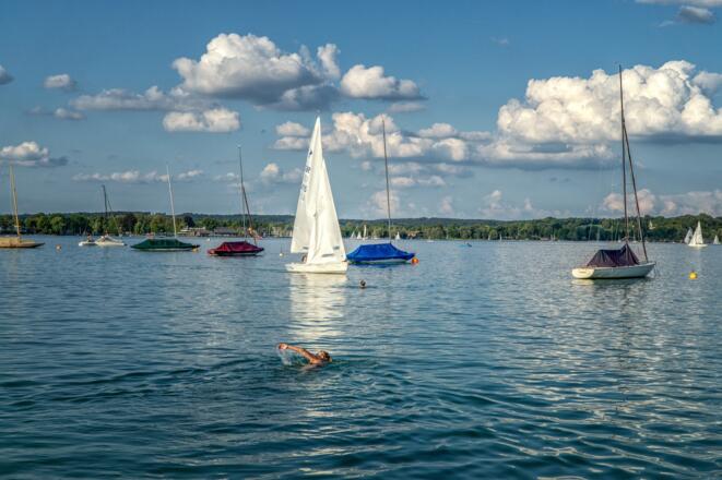 Schwimmer im Starnberger See
