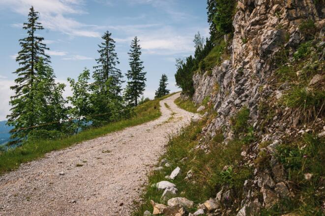 Weg von den Rauschberg Almen Richtung Kienbergsattel