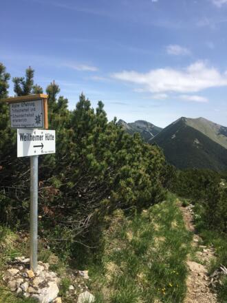 IMG_2707.jpeg