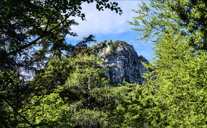 Blick hinauf
