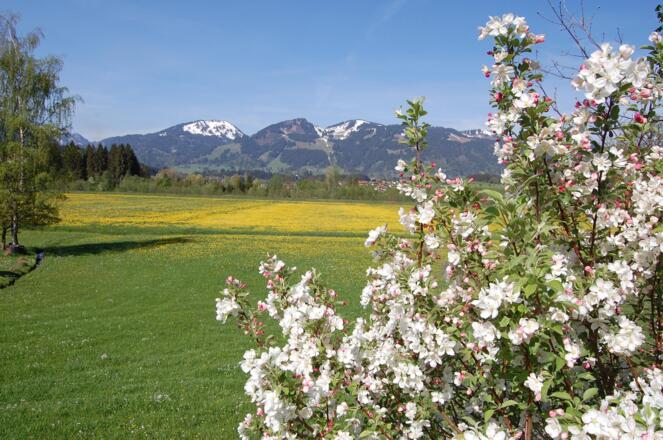 April (1)